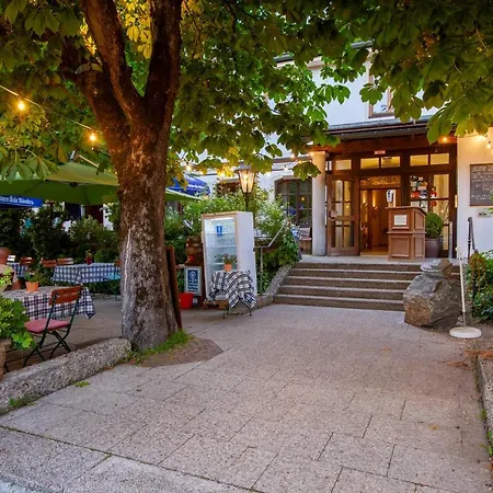 فندق Bio-hotel Alter Wirt غرنوالد